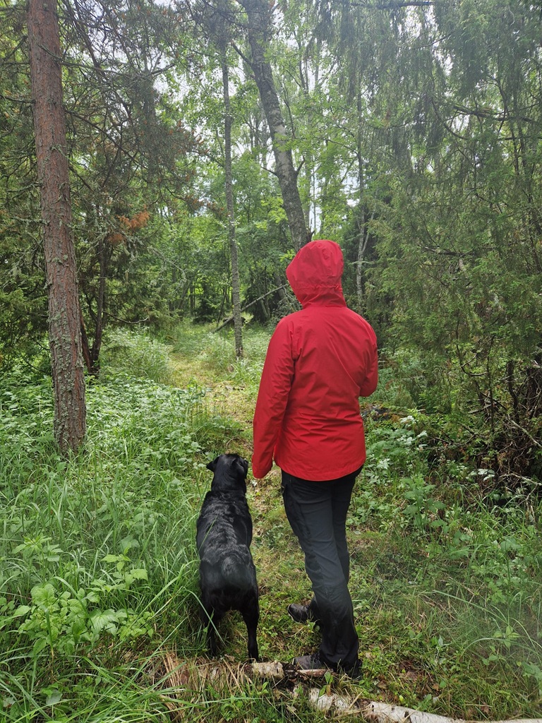 Erä- ja luontopalvelut img 20250621 wa0014